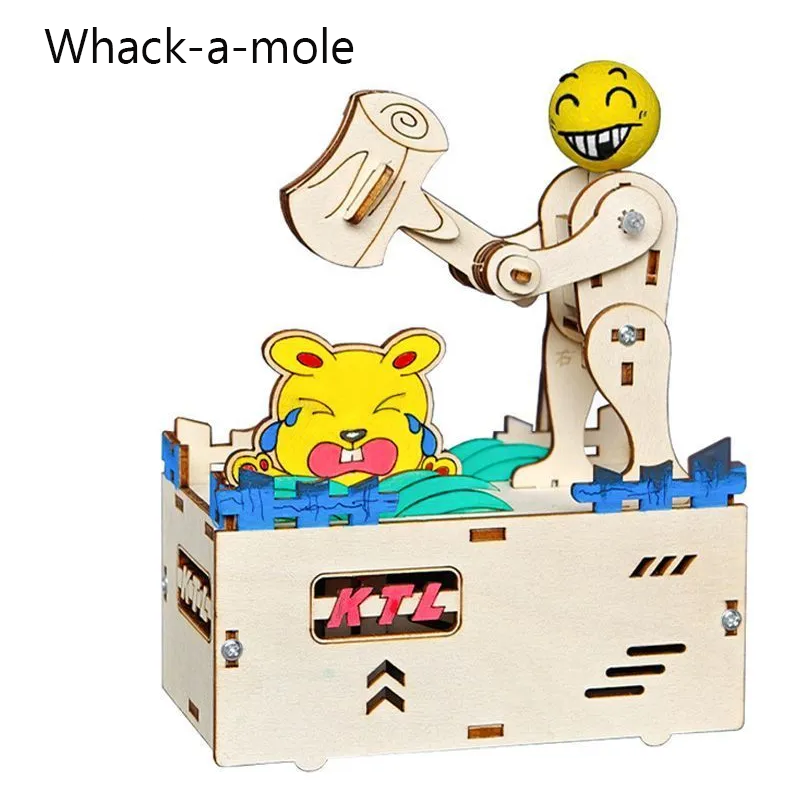 Science Toys Diy - DIY trap for mice Wood Model