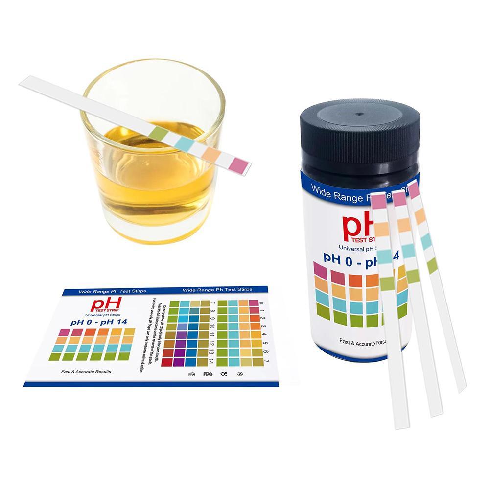 100 Pieces Multipurpose Chlori - Ph Strip Test 评论和价格