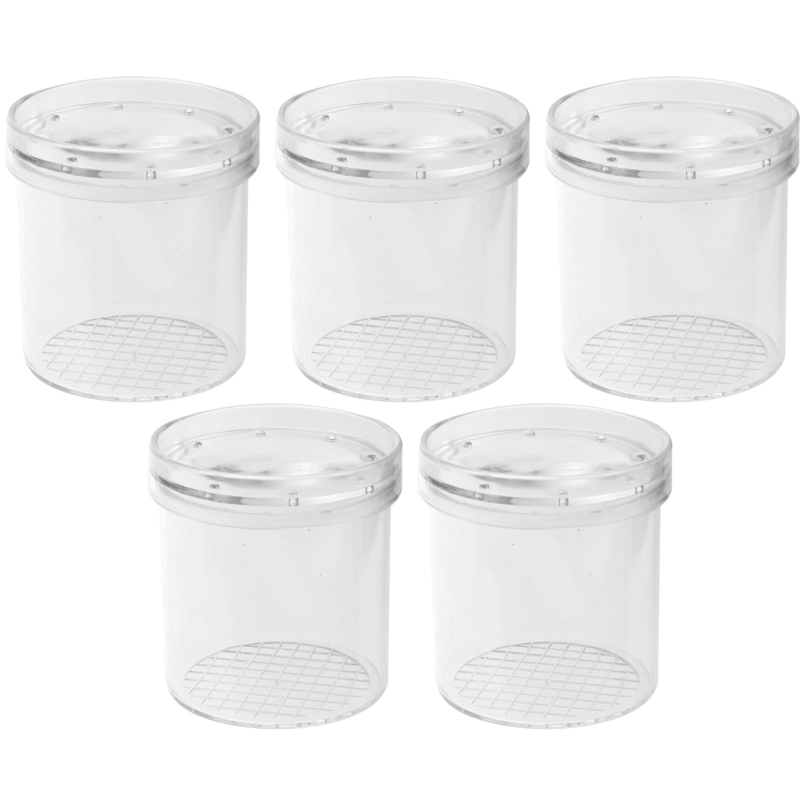 5Pcs Insect Viewer Magnifier f - Science Nature 评论和价格