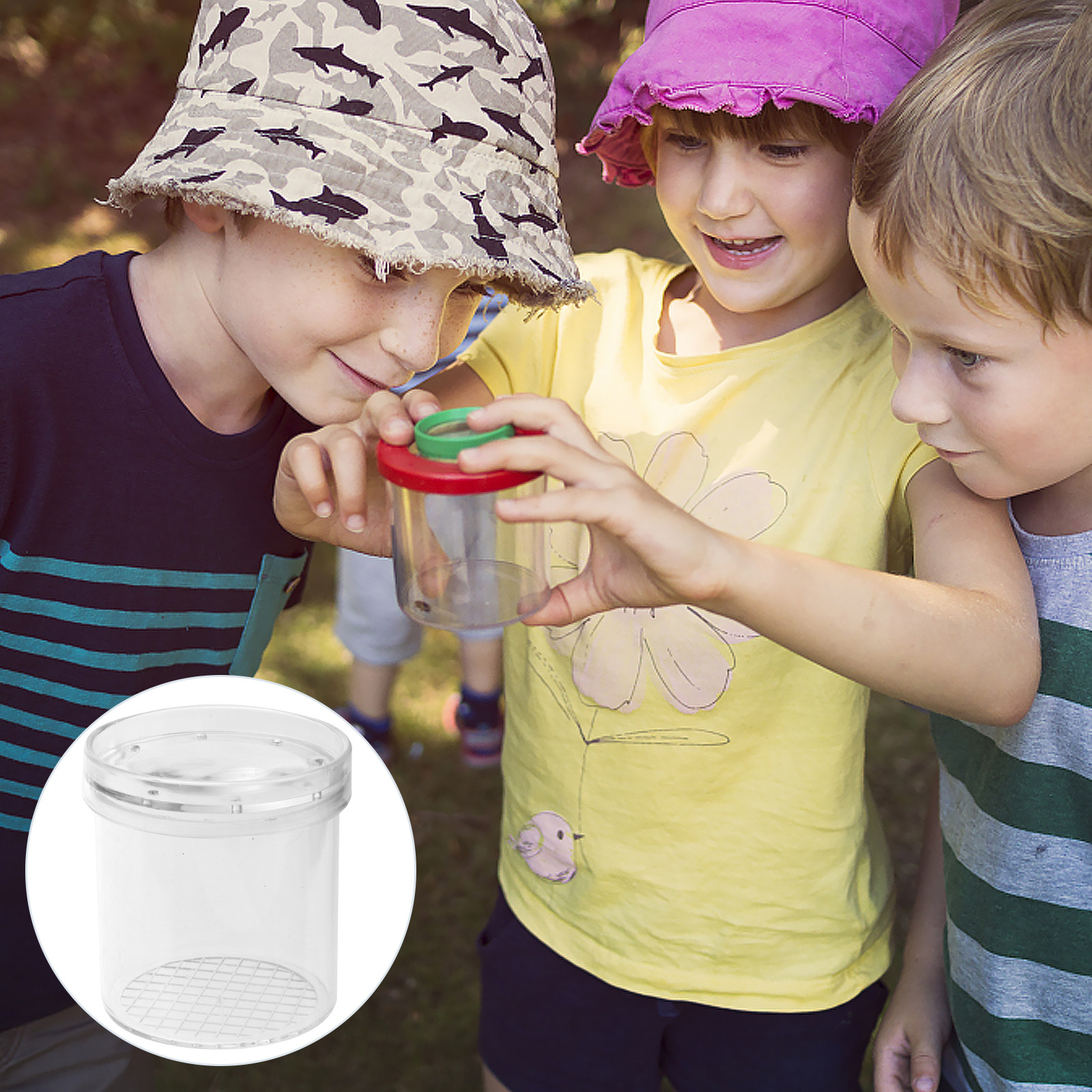 5Pcs Insect Viewer Magnifier f - Science Nature 评论和价格