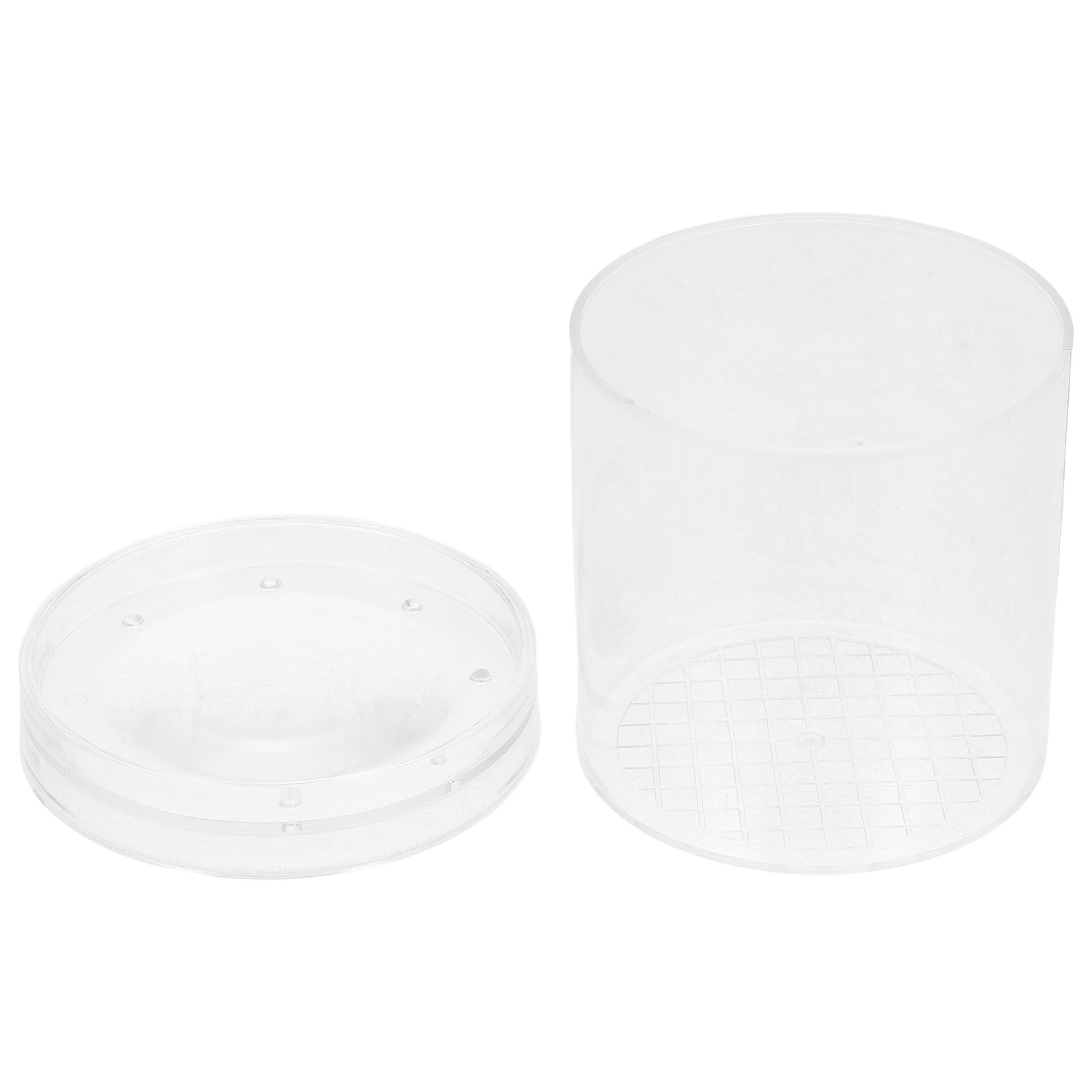 Insect Observation Box 3X Magn - Science Nature 评论和价格
