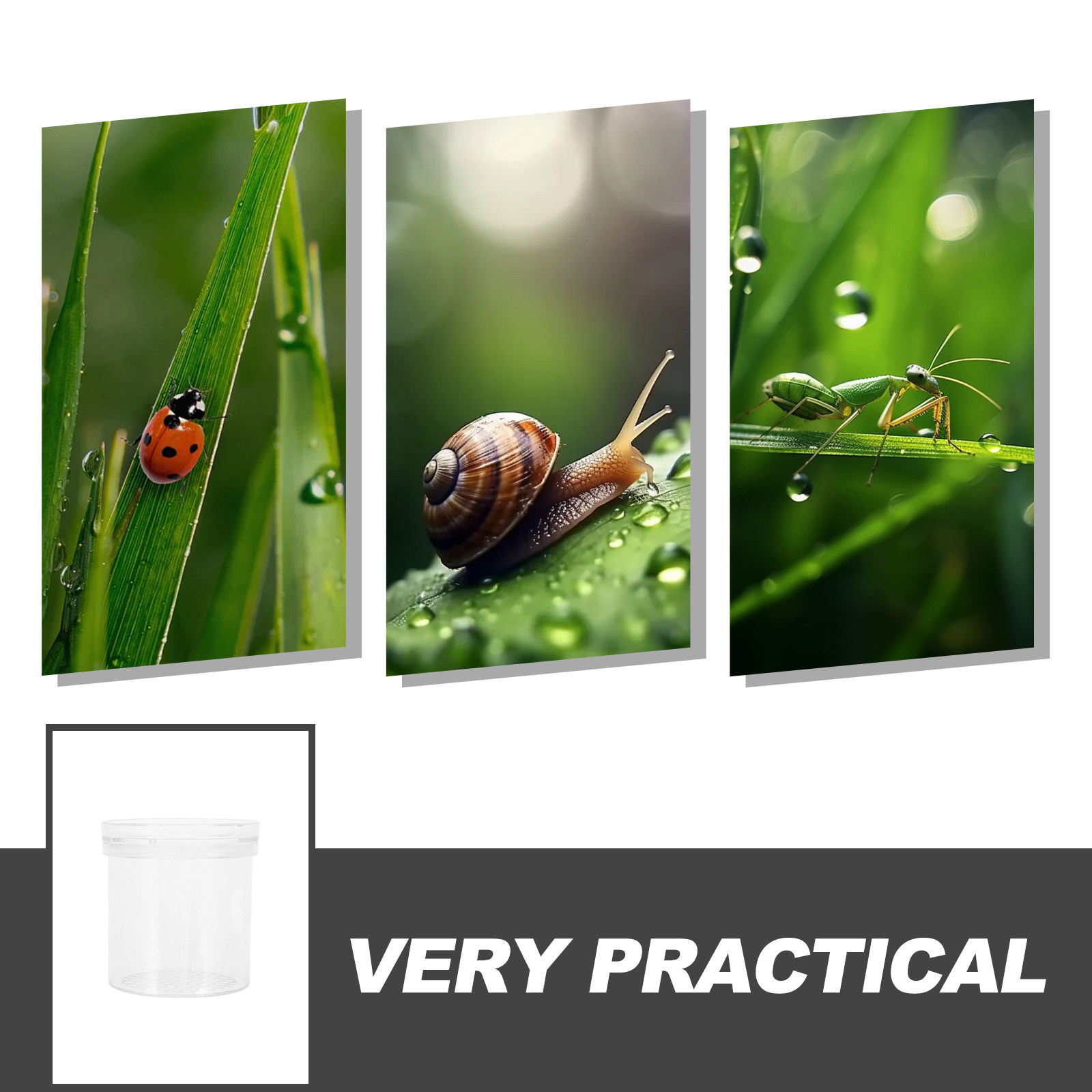 Insect Observation Box 3X Magn - Science Nature 评论和价格