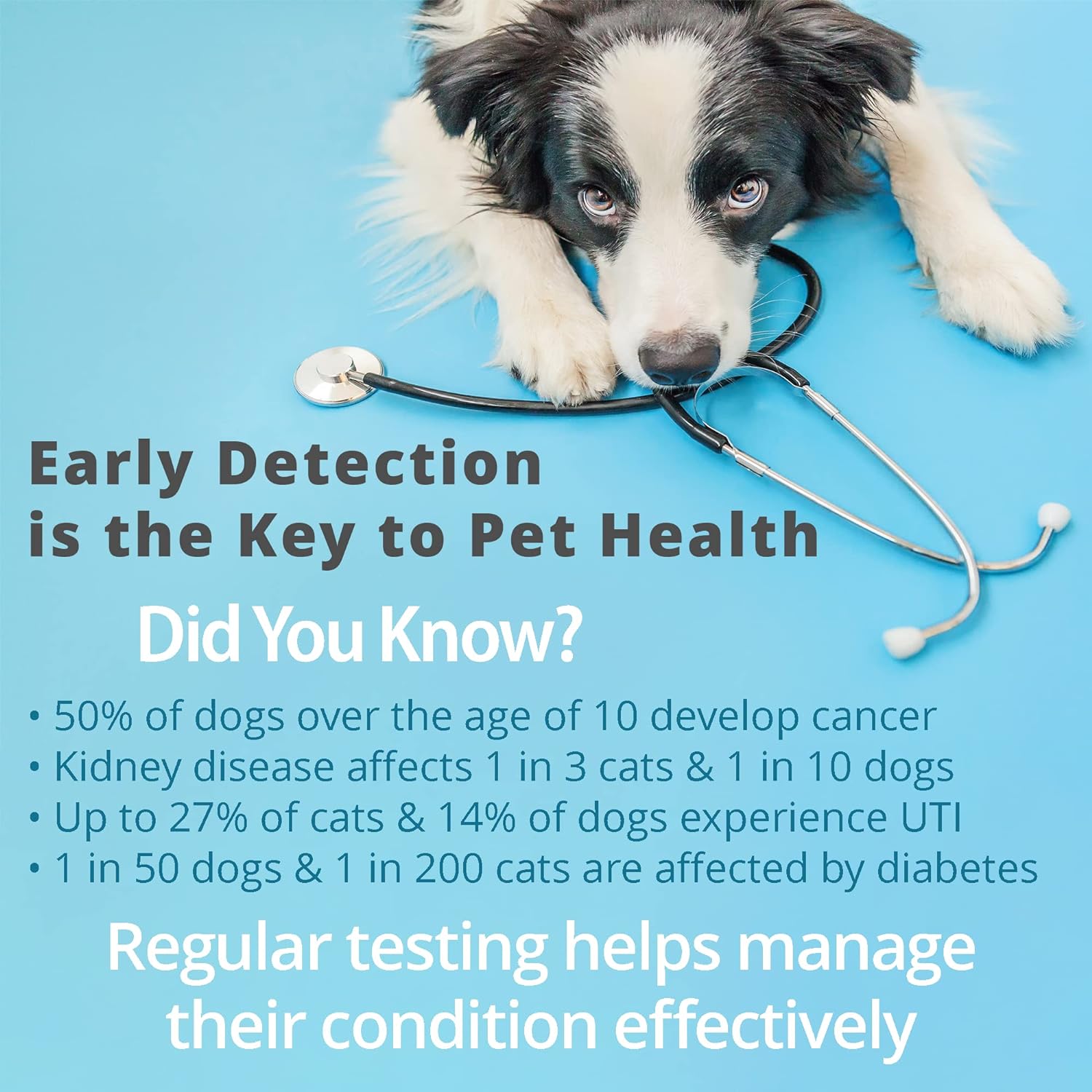 Pet Urine Testing Strips, 100  - Ph Strip Test 评论和价格