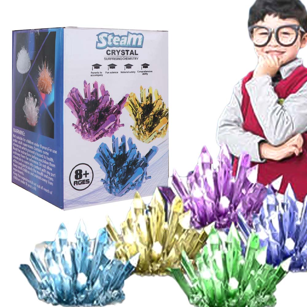 Grow a Crystal Crystal Growing - Science Toys Diy 评论和价格