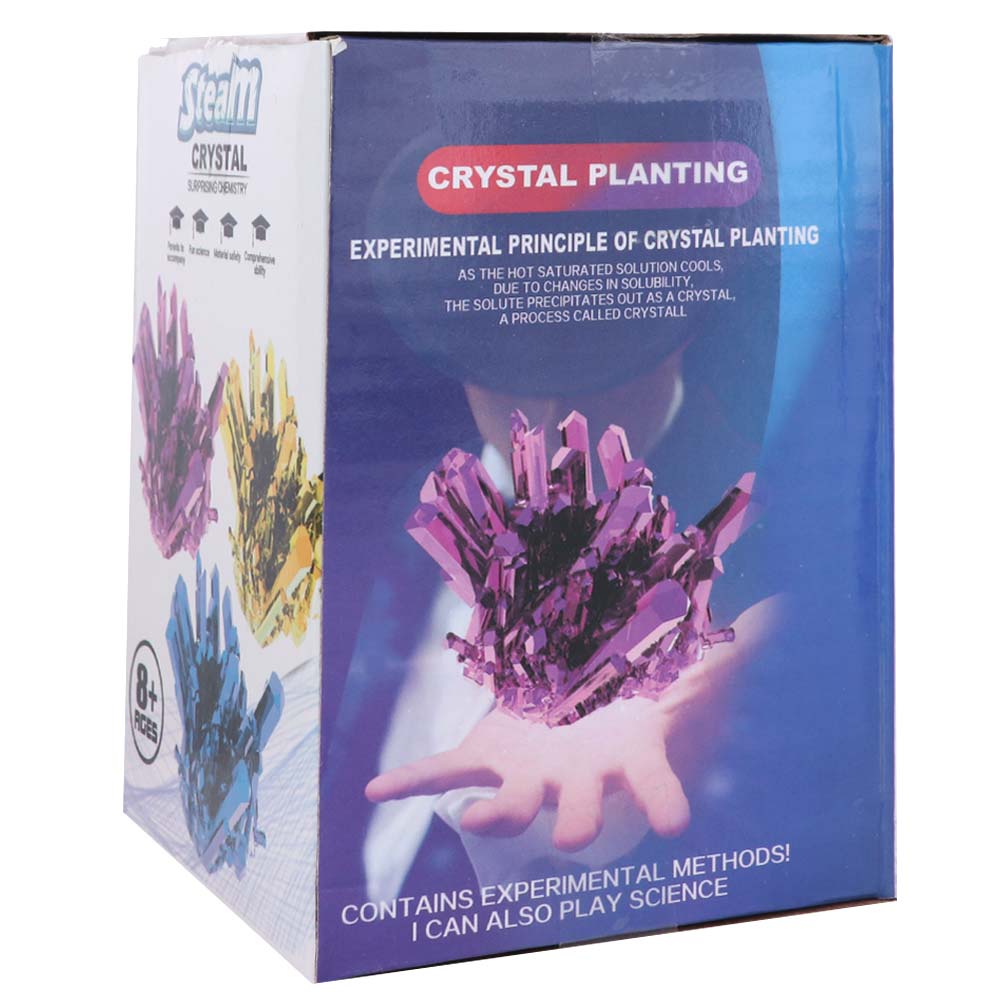 Grow a Crystal Crystal Growing - Science Toys Diy 评论和价格