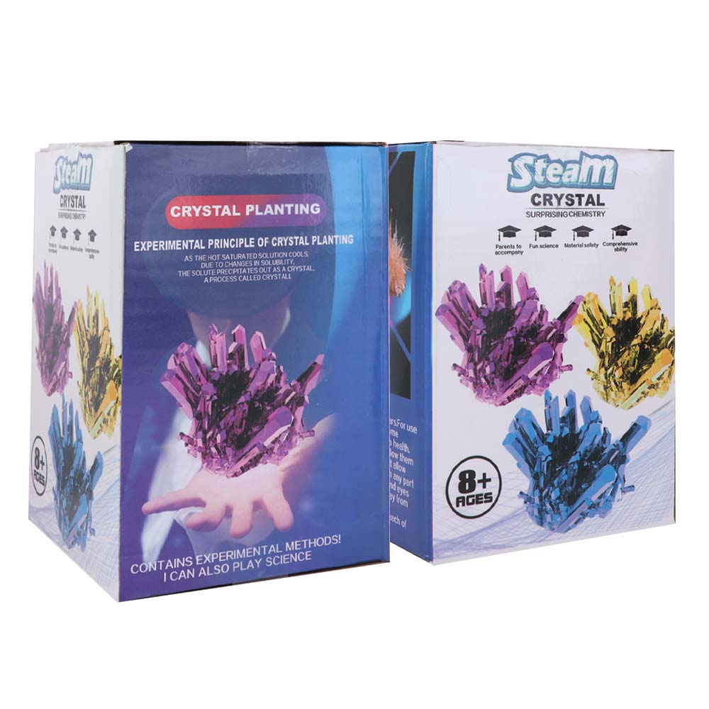 Grow a Crystal Crystal Growing - Science Toys Diy 评论和价格