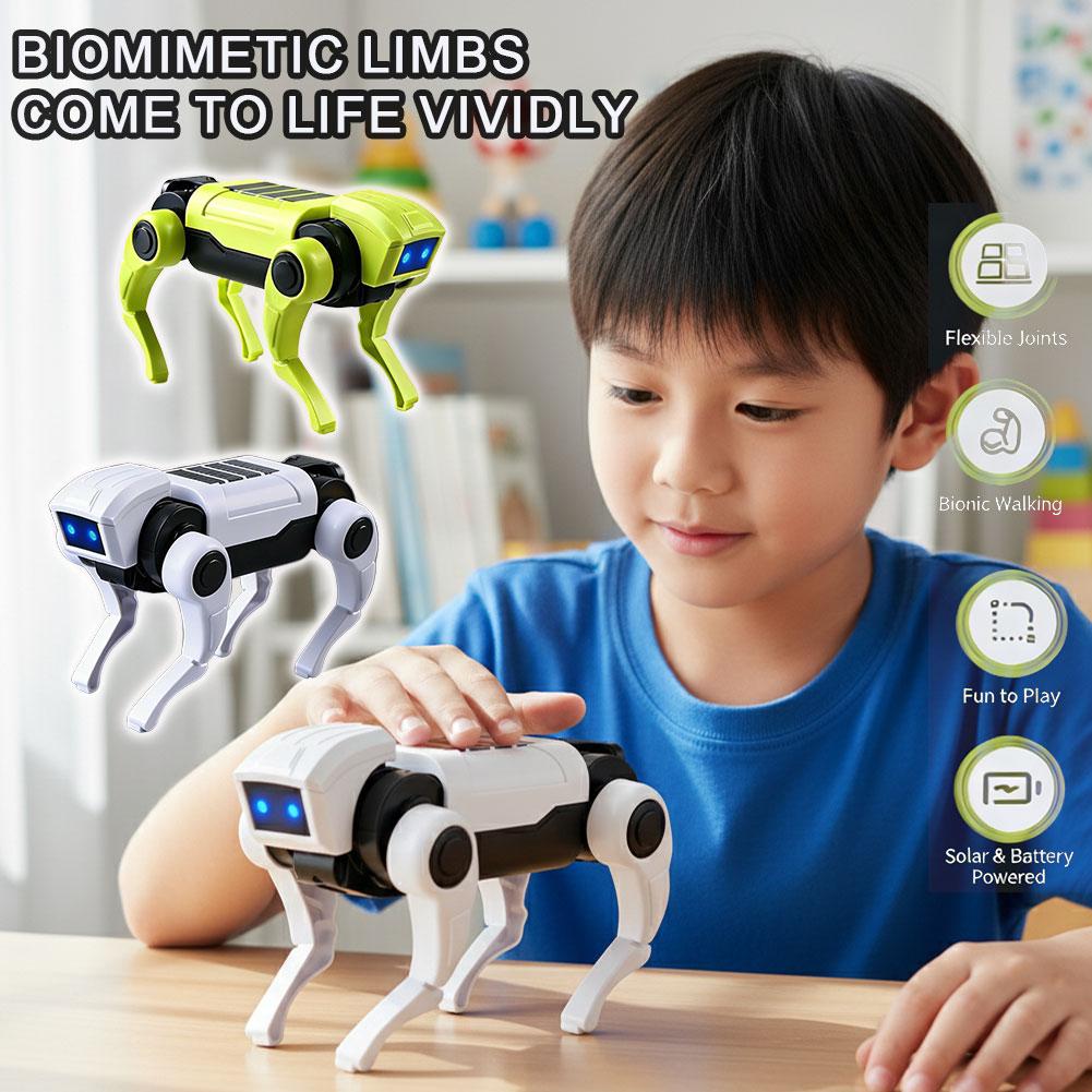 1/2Pcs Rc Robot Children's Rem - Science Toys Diy 评论和价格