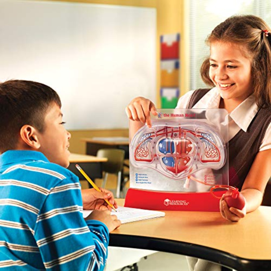 Science classroom STEM anatomy - Science Nature 评论和价格