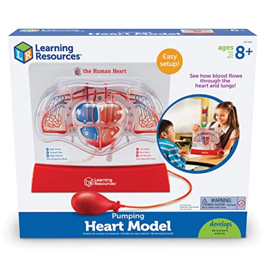 Science classroom STEM anatomy - Science Nature 评论和价格